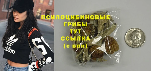 молекула духа Аркадак