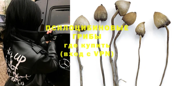 PSILOCYBIN Арсеньев