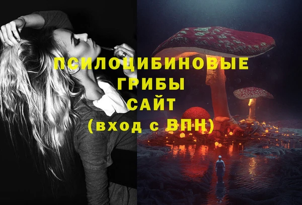 PSILOCYBIN Арсеньев