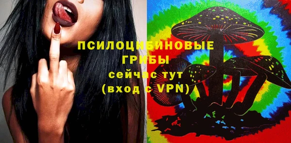 apvp Армянск