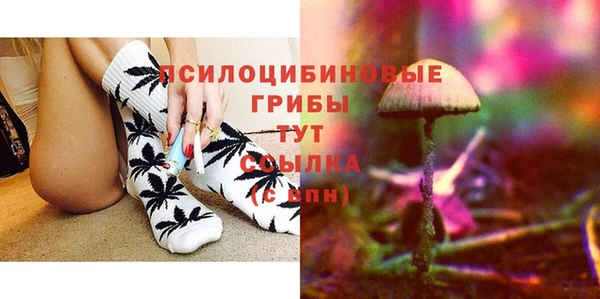 молекула духа Аркадак