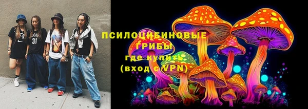молекула духа Аркадак