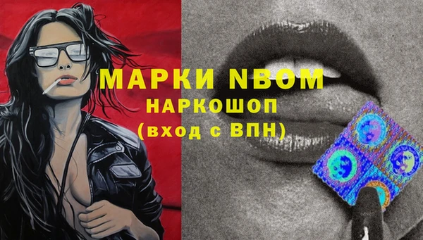 PSILOCYBIN Арсеньев