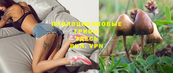 PSILOCYBIN Арсеньев