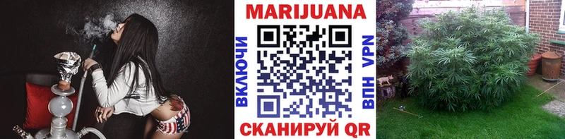 Бошки Шишки сатива  Зубцов 